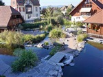 Roggwil Anlage MB (69)